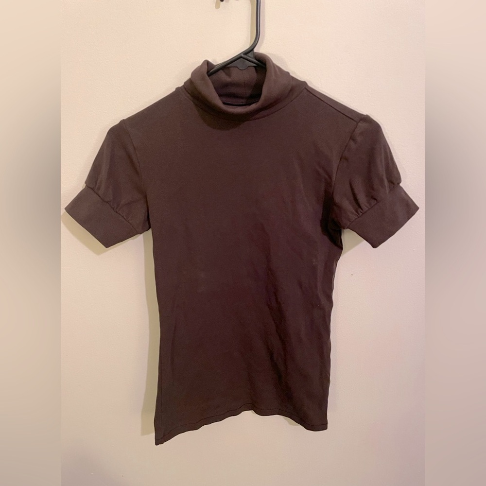 Small brown turtle next t shirt
